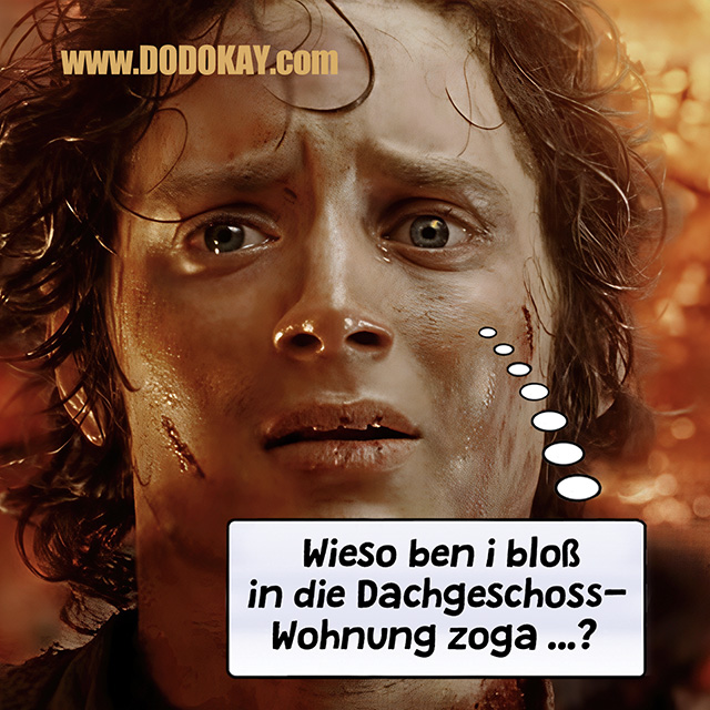Dodokay Herr der Ringe Frodo Hitzewelle Dachgeschosswohnung Dodokay Herr der Ringe Frodo Hitzewelle Dachgeschosswohnung