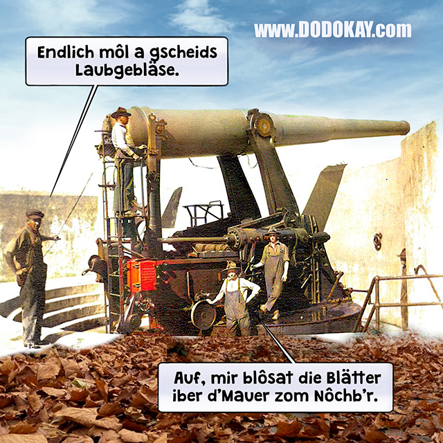 Dodokay Laubgebläse Vanishing Gun